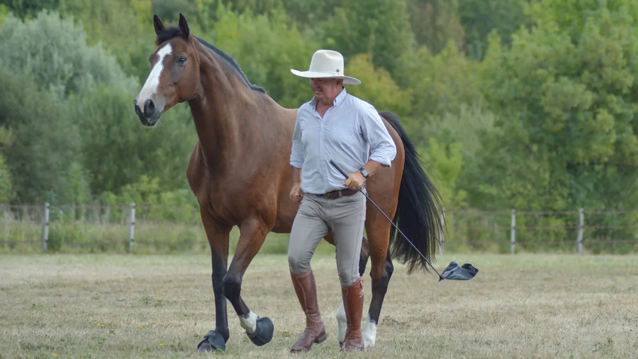 Abonnements annuels au Horseman's Club