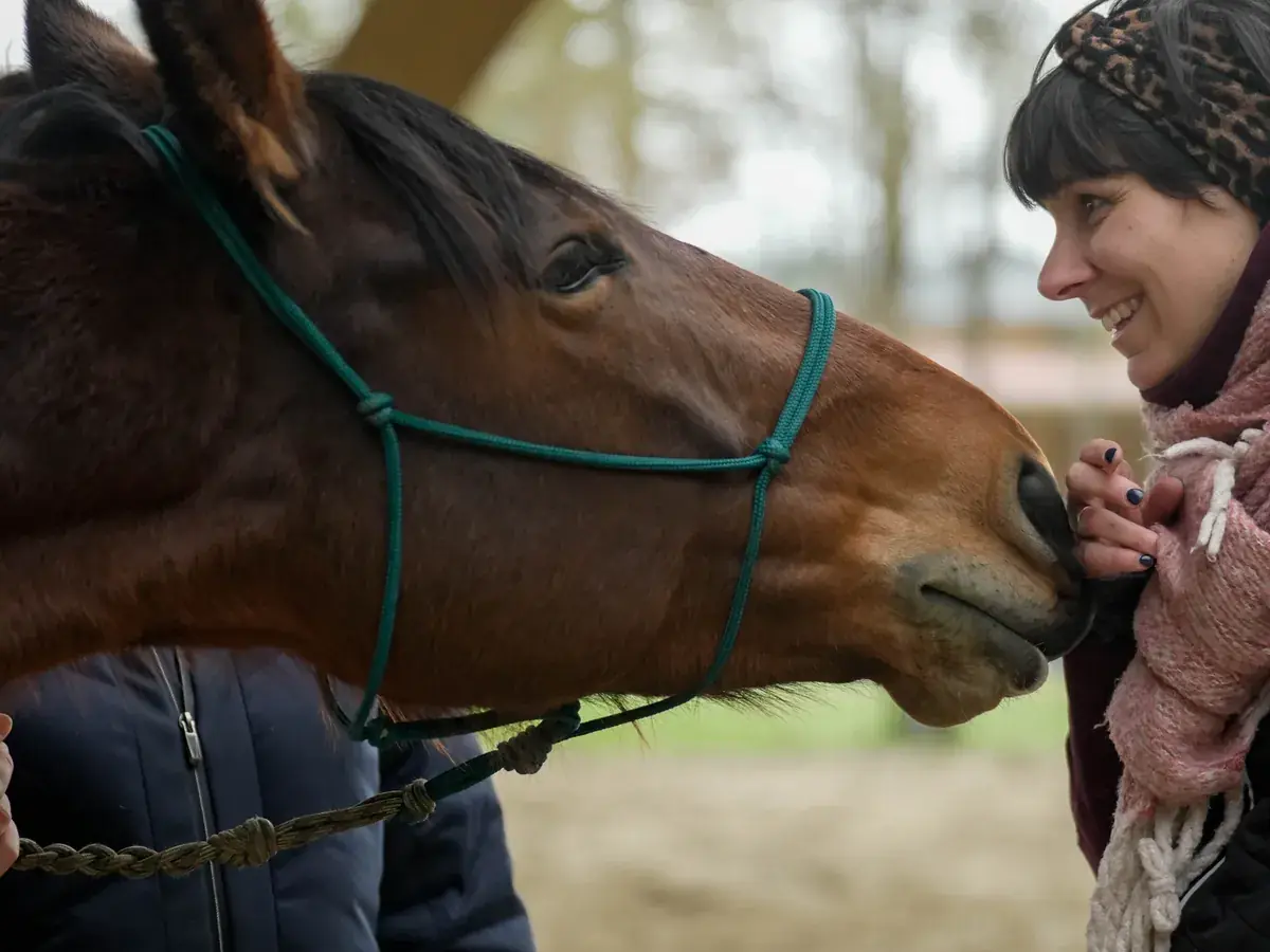 Le cheval, un alli&eacute; contre le cancer &mdash; m&eacute;diation &eacute;quine